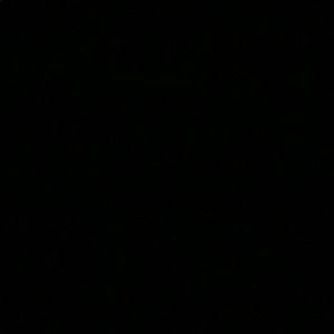 Meet your Posher, Charli